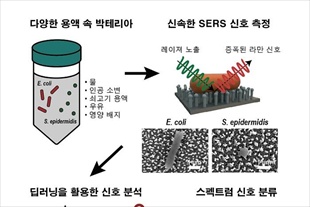 딥러닝 기술 활용한 박테리아 검출 플랫폼 개발 - 뉴스 썸네일 이미지