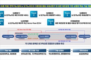 성균관대, 면역 탑재 뇌 오가노이드 상용화 플랫폼 개발 나선다 - 뉴스 썸네일 이미지