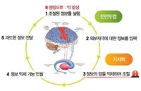 [건강칼럼] 틱장애 부르는 기저핵 이상!