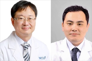 췌장암 항암제 내성 차단하는 새 치료법 밝혀 - 뉴스 썸네일 이미지