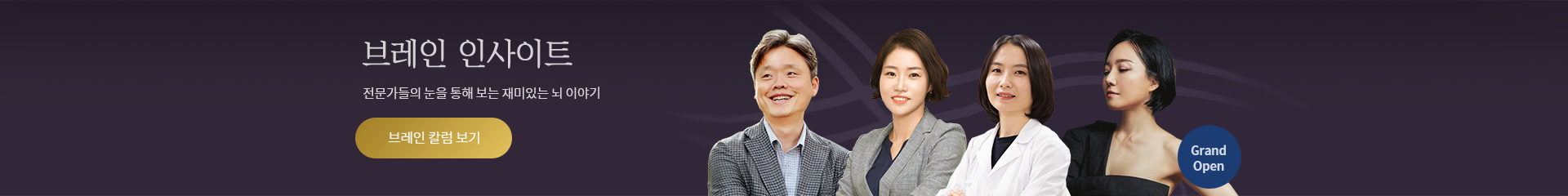 브레인 인사이트, 전문가 칼럼